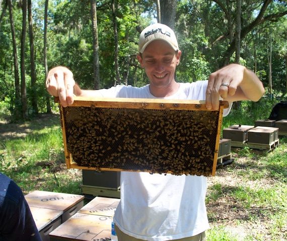 Beekeeper Orlando